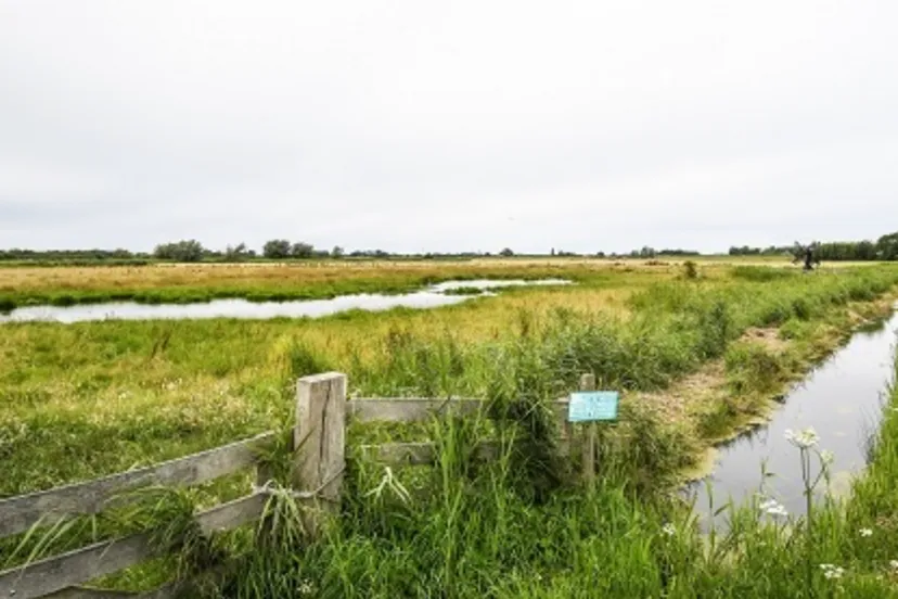 screenshot 20250120 105044