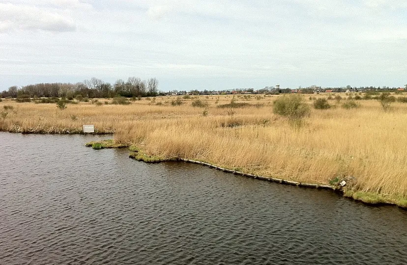 screenshot 20250123 131327