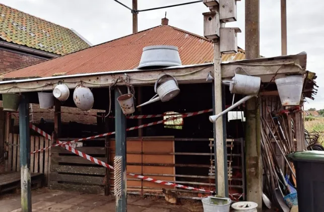 screenshot 20250126 130234