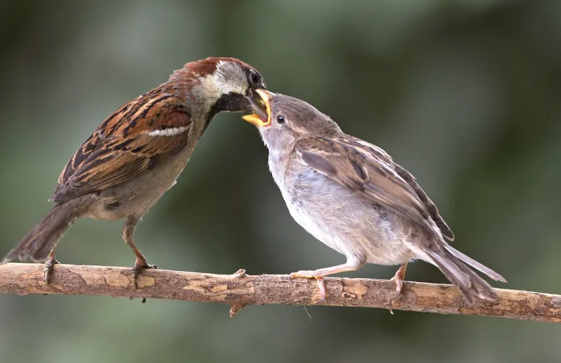 screenshot 20250127 130521