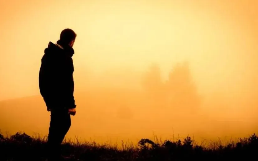 vermistl 22 915x518 1jpg