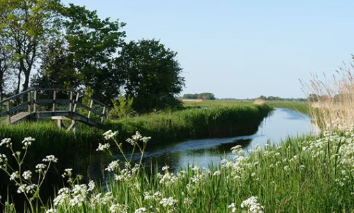 screenshot 20250213 102448