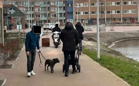 screenshot 20250214 132611