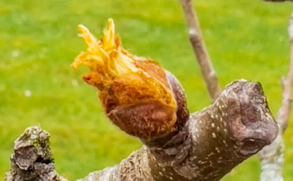 screenshot 20250221 145702