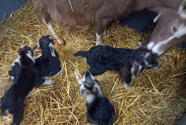 screenshot 20250222 113048