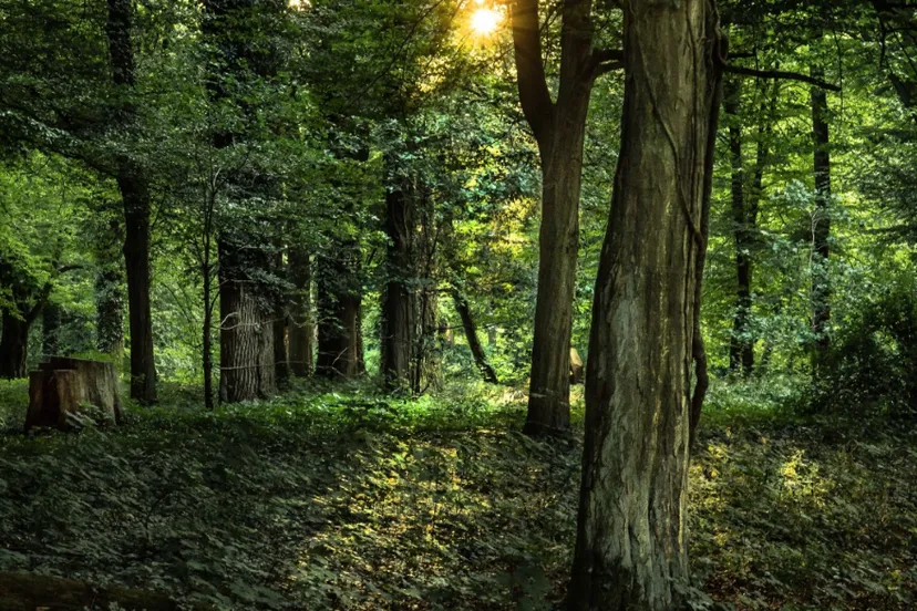 screenshot 20250227 113901