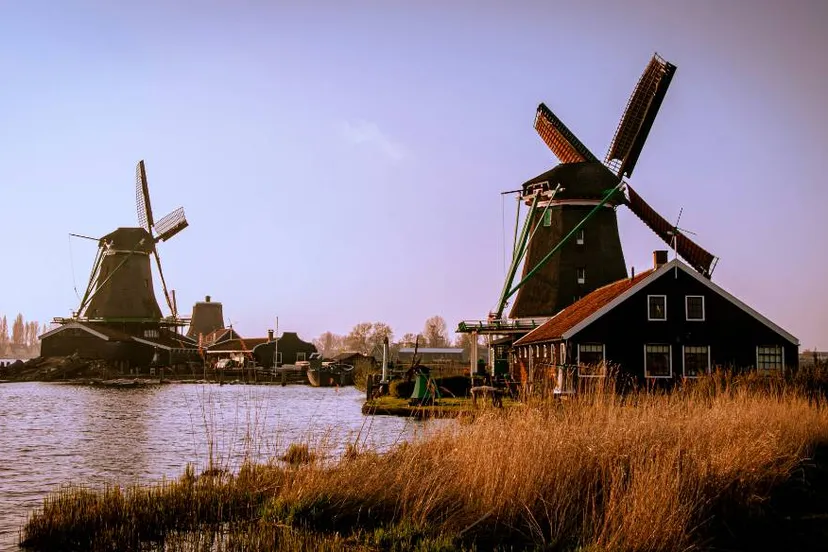 radu iordan c 7ahesz37u unsplash