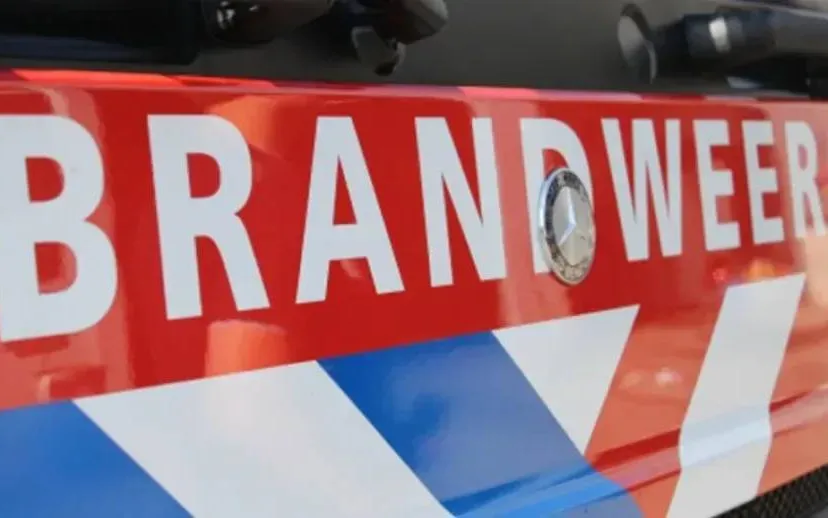 screenshot 20220803 121019 915x518 1 915x518 1 6731f70a93a17jpg