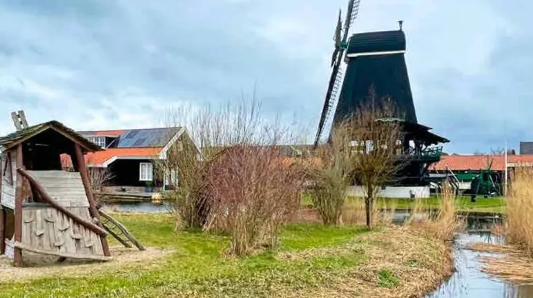 screenshot 20231021 125903jpg