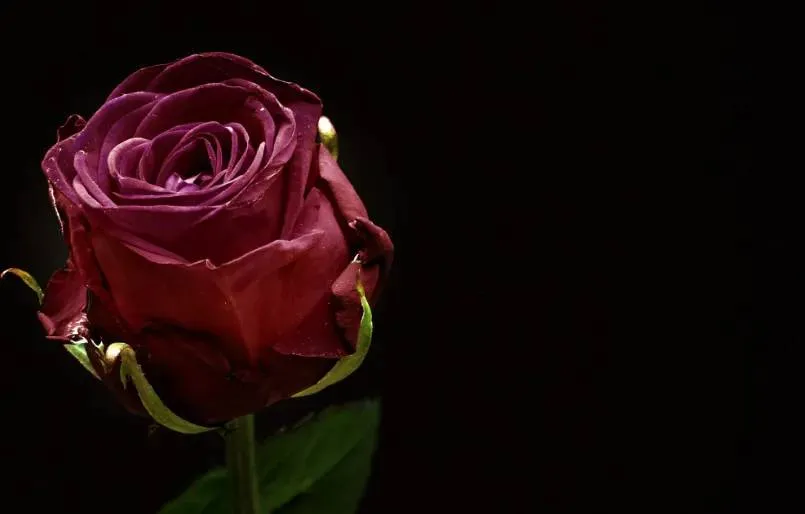 screenshot 20240803 173613 66ae4e5866e02jpg