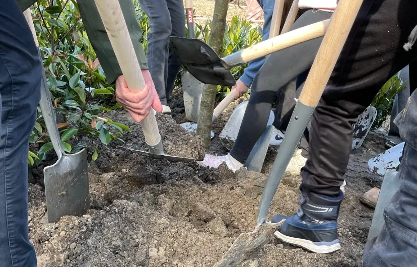 screenshot 20250301 112124