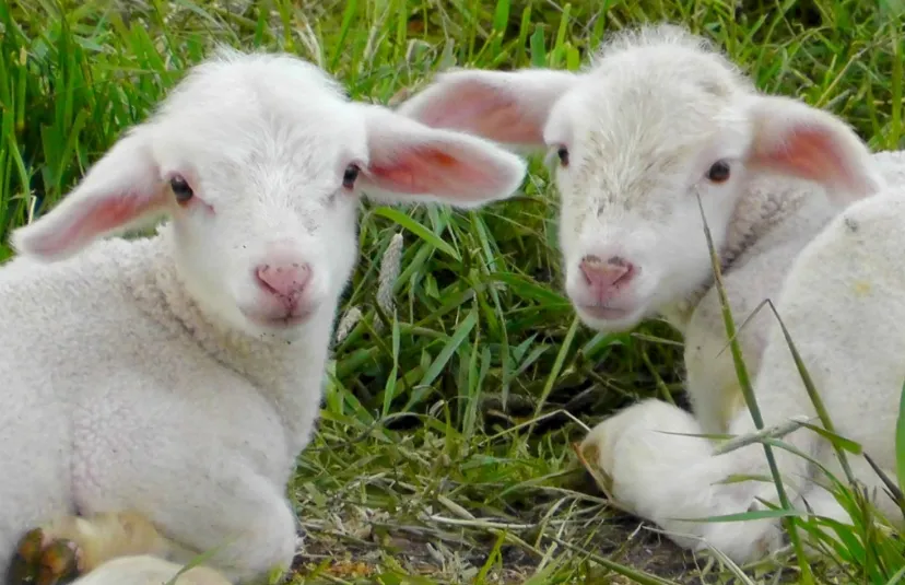 screenshot 20250302 125151