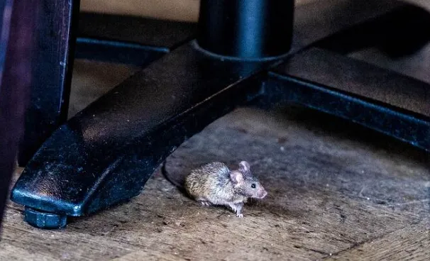 screenshot 20250306 152044