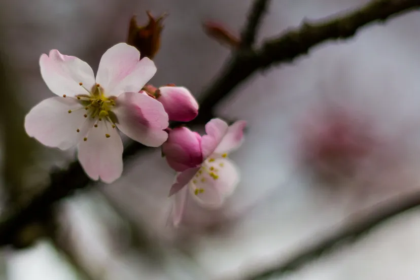 screenshot 20250308 135252