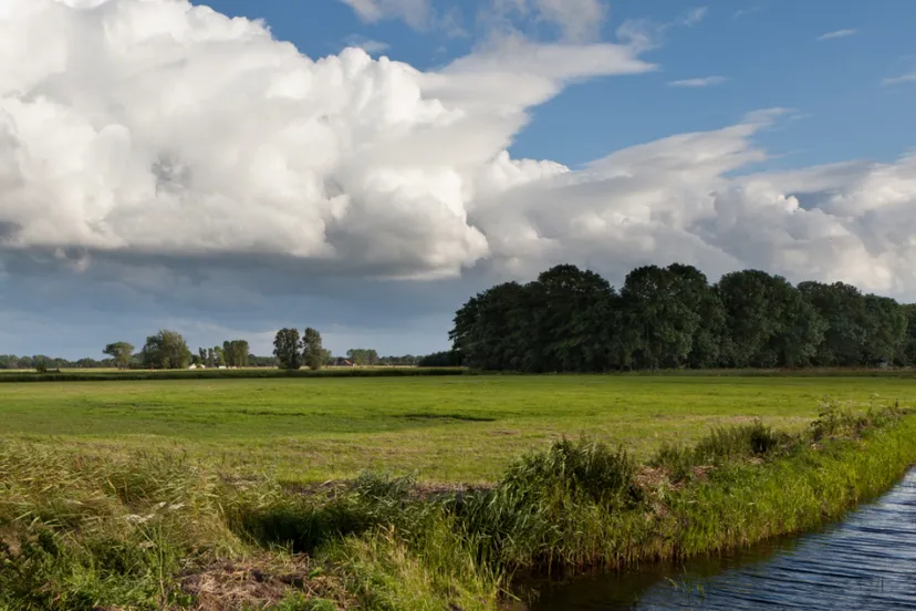 screenshot 20250311 142155