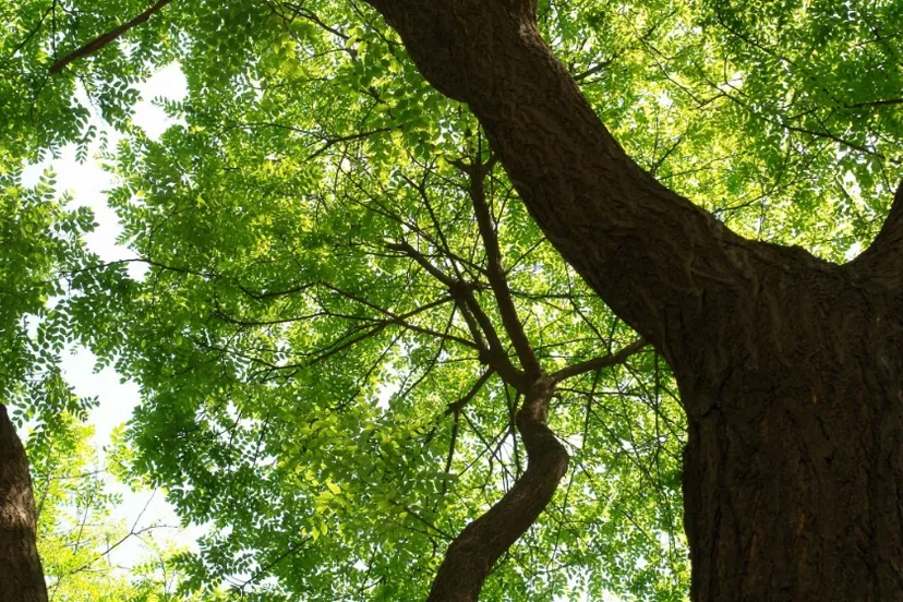 screenshot 20250312 100133