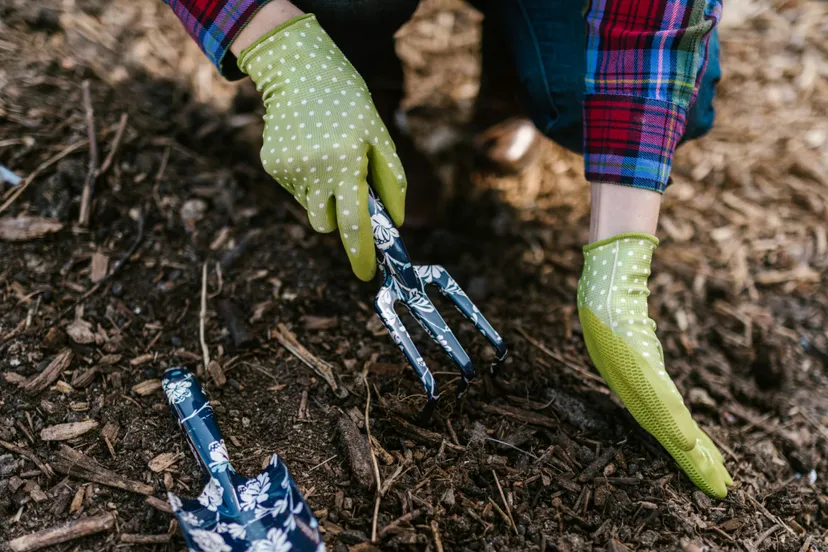 screenshot 20250312 120729