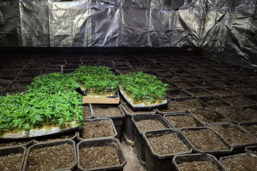 screenshot 20250312 135341