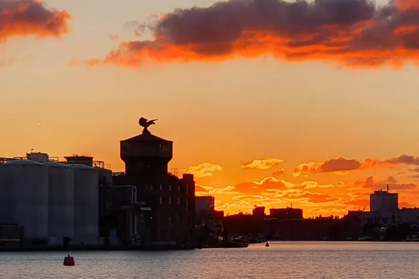 screenshot 20250314 102844