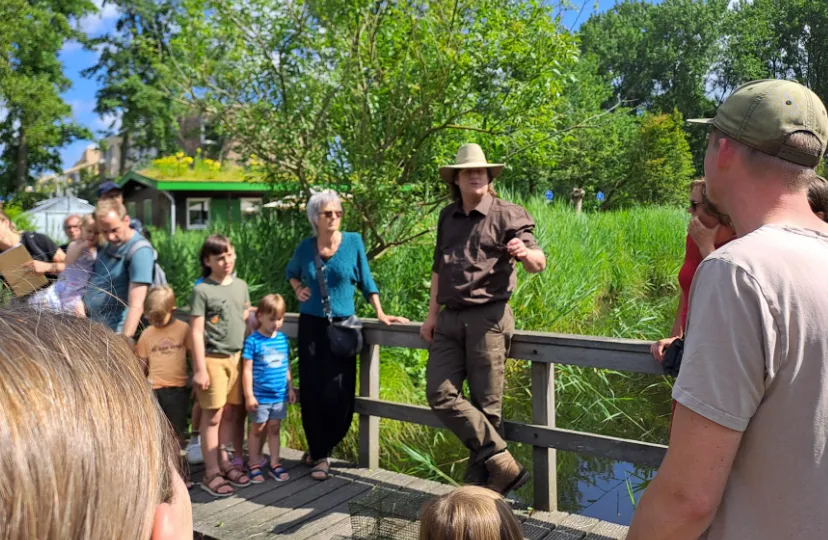 screenshot 20250317 160024