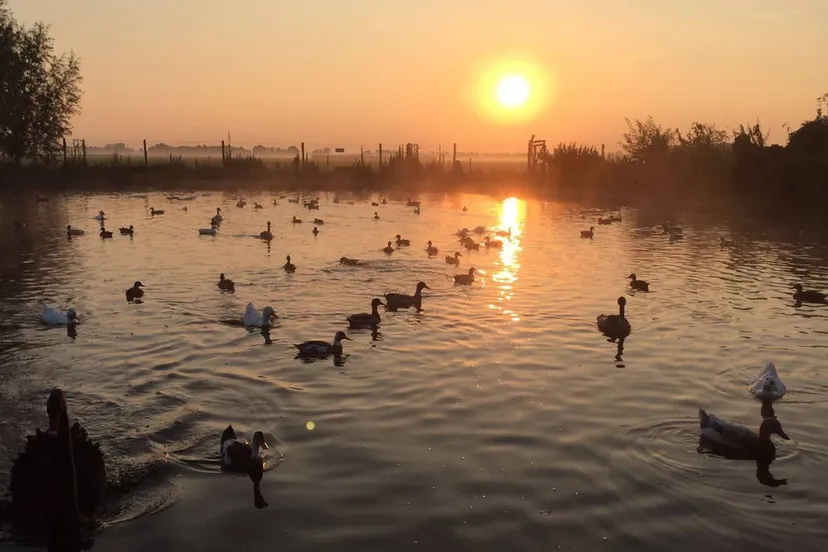 screenshot 20250327 085347