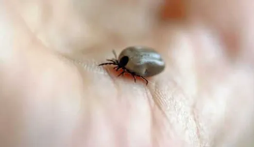 screenshot 20250331 103237