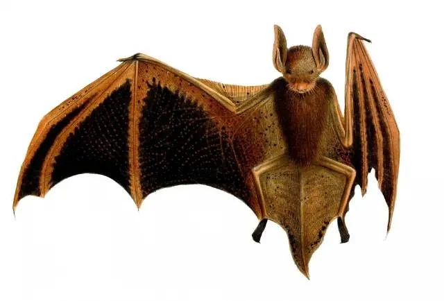 screenshot 20230217 124855 1jpg