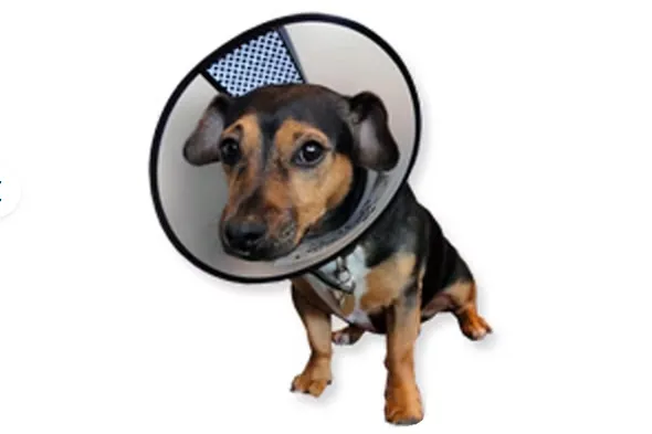 screenshot 20250403 133128