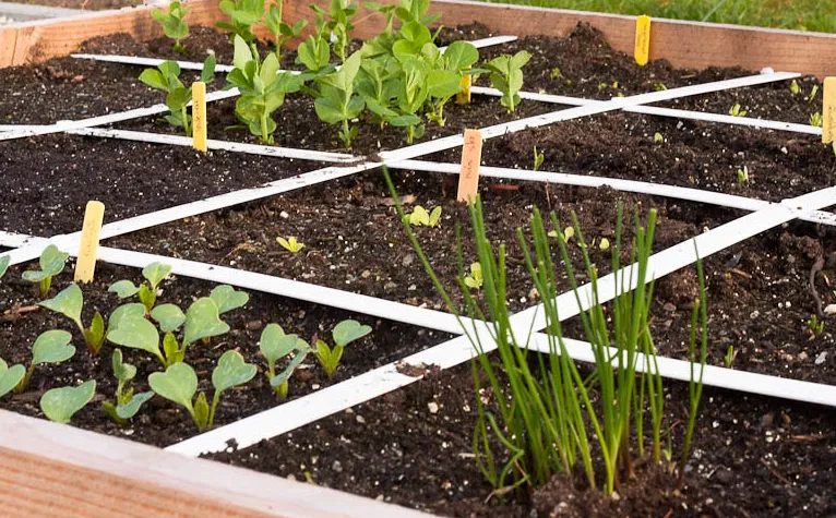 screenshot 20250404 093642