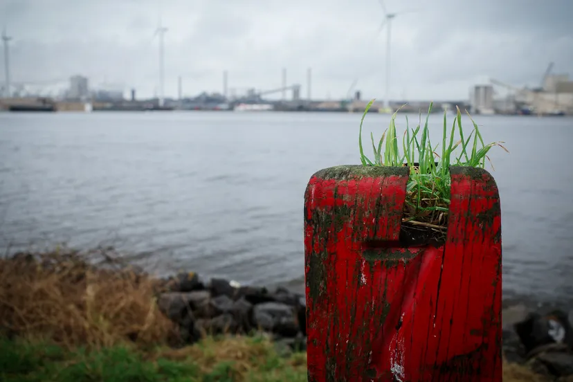 screenshot 20250407 103941