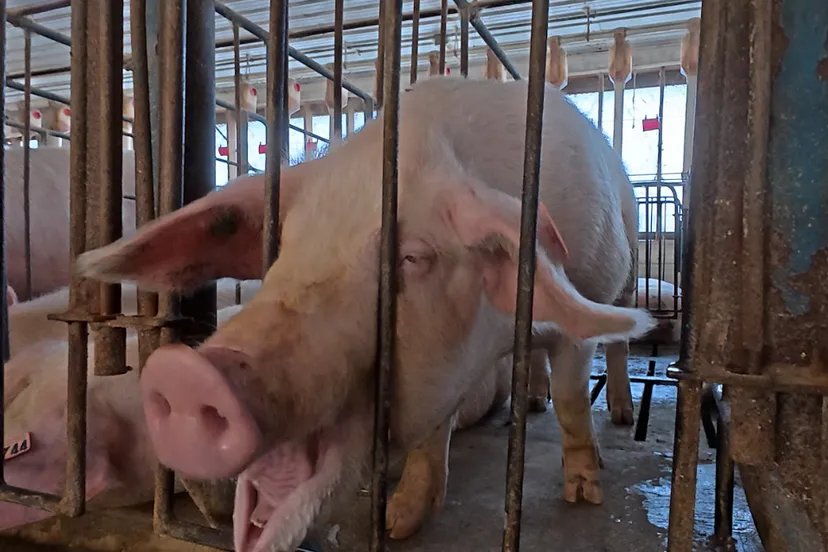 screenshot 20250409 154003