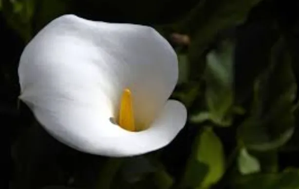 screenshot 20250410 130724