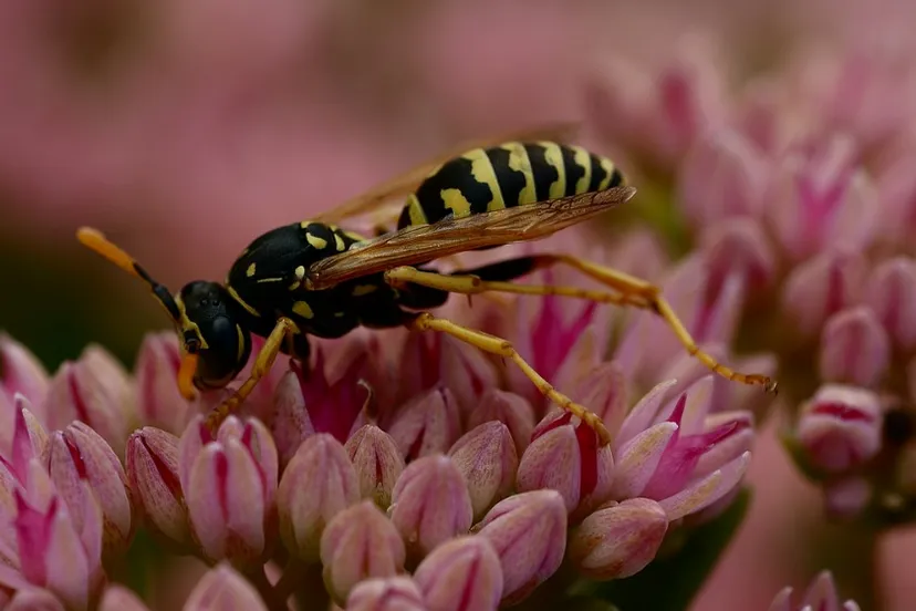 screenshot 20250421 105122