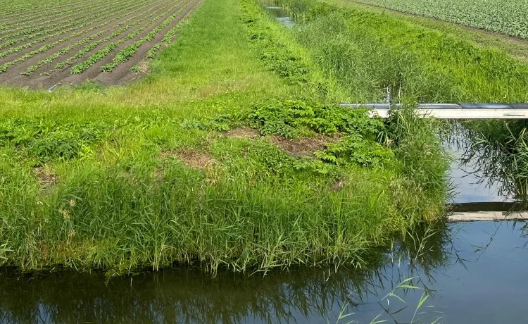 screenshot 20250425 130700