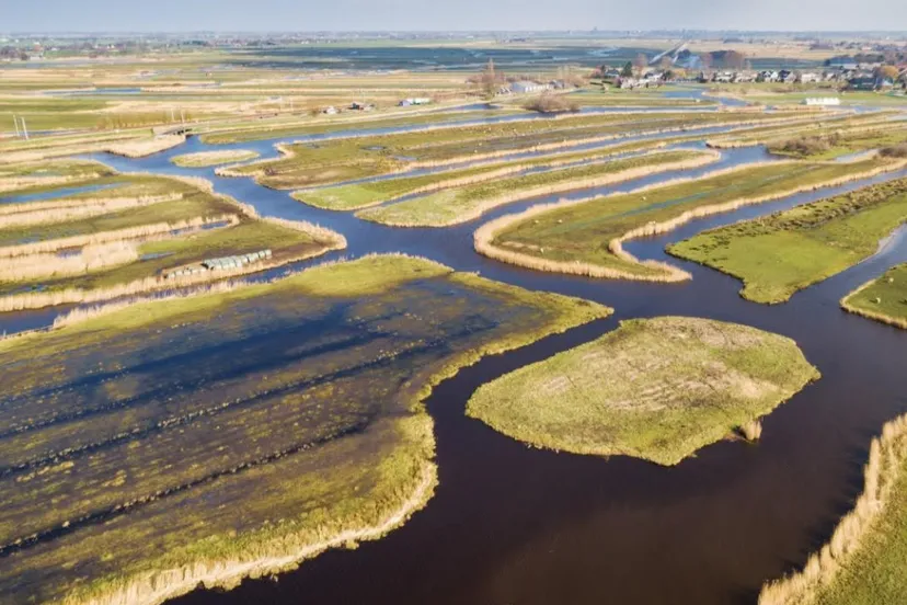 screenshot 20250428 164316