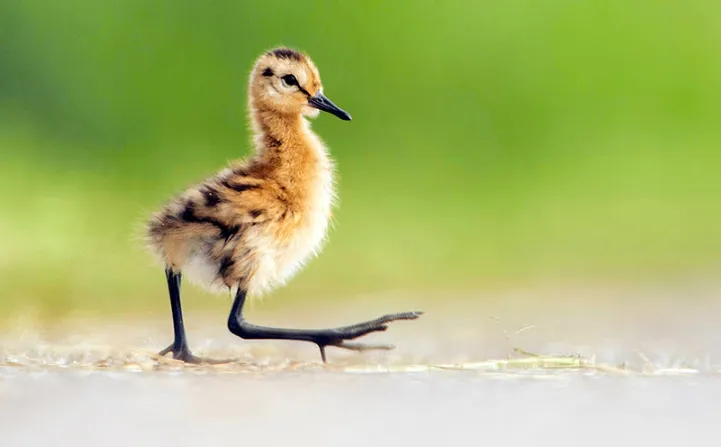 screenshot 20250501 130527