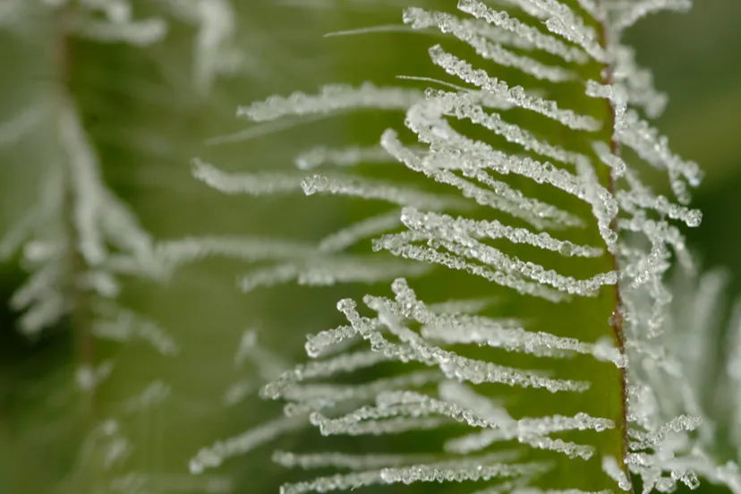 screenshot 20250511 113519