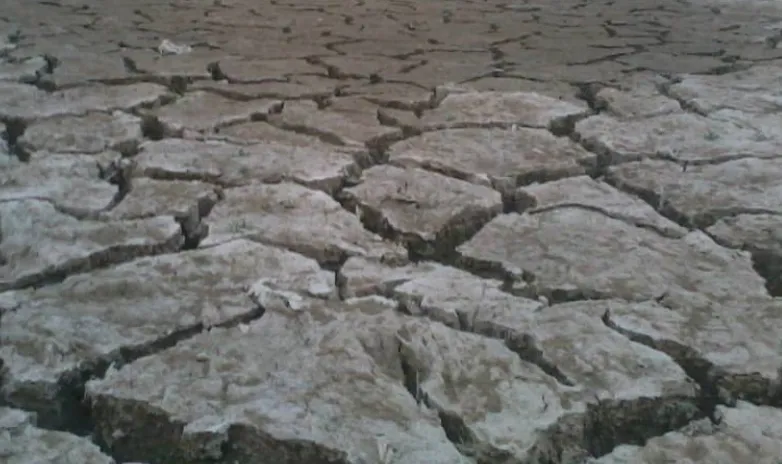 screenshot 20250513 133023