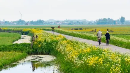 screenshot 20250514 113542