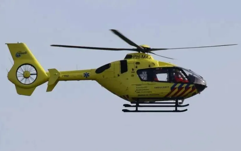 screenshot 20211223 144208 915x518 1 915x518 1 915x518 1jpg 6784e36854284jpg