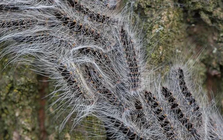 screenshot 20220302 140227jpg