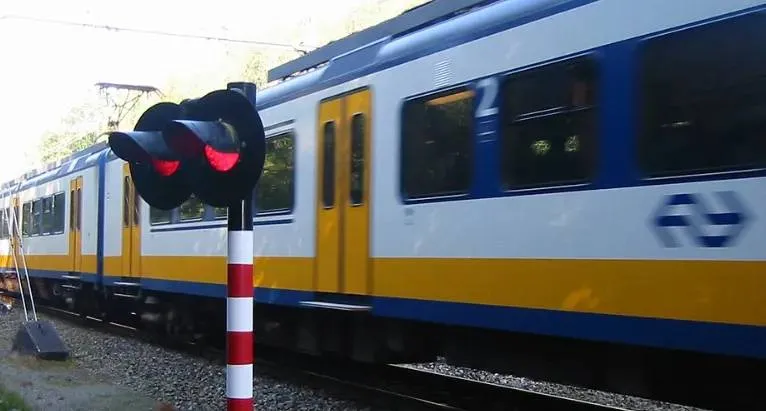 screenshot 20241007 104322 67039edd77038jpg