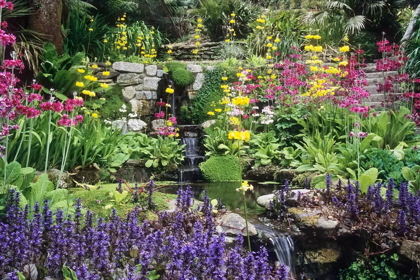 screenshot 20250602 122638