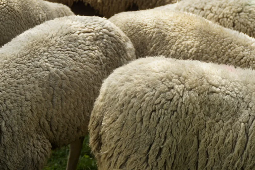 screenshot 20250605 112424