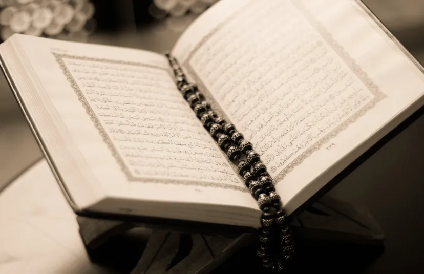 screenshot 20250610 113330