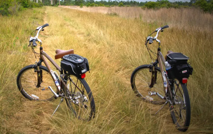 screenshot 20250703 124756