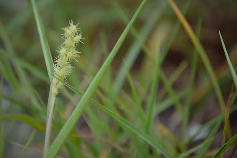 screenshot 20250703 170725