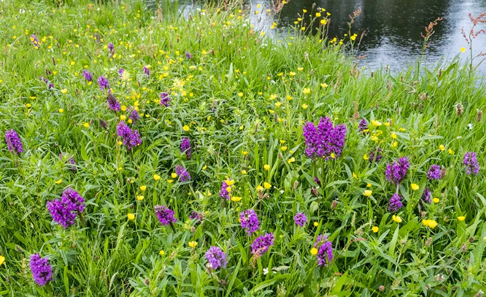 Screenshot_20250709_130901