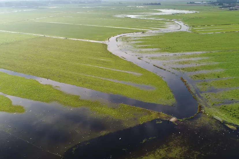 Screenshot_20250710_162014