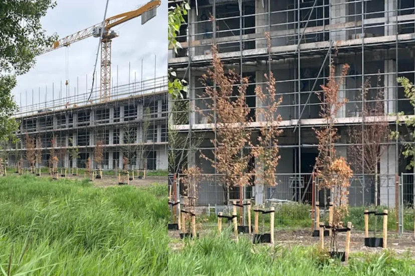 Screenshot_20250711_160247